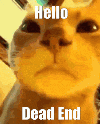 Stop He's Already Dead Close Up Kitty GIF