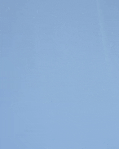 Stop Motion Octupus Cafe GIF