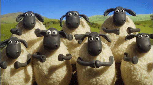 Stop Motion Sheeps Congrats Claps GIF