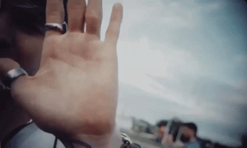 Stop Paparazzi No Pictures Christopher Velez GIF