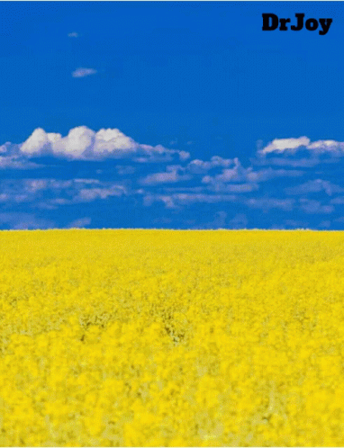 Stop War With Ukraine Save Planet Earth GIF