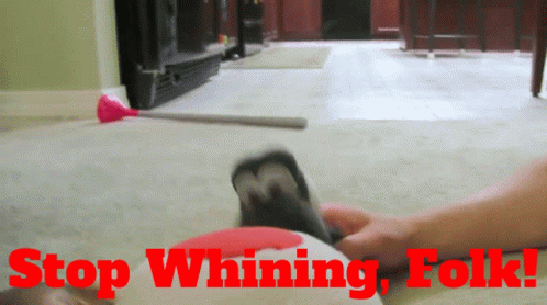 Stop Whining Sign With Cat GIF