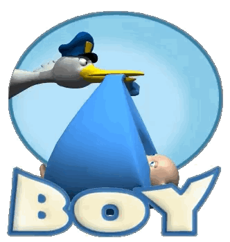 Stork Carrying Baby In Blue Blanket Boy GIF