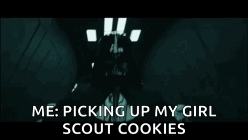 Storm Trooper Talking About Girl Scout Cookies