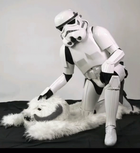 Stormtrooper Petting GIF