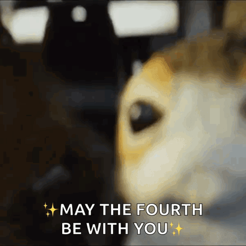 Stormtroopers Dancing With LGBTQ Message