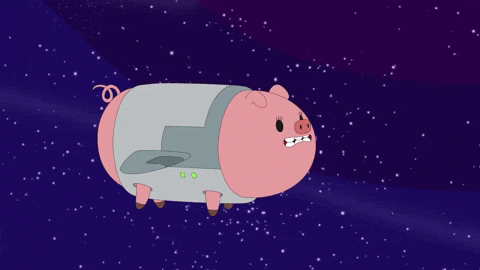 Stout Pig Flies Above Starry Night GIF