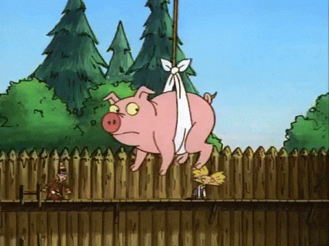 Stout Pig Flies Airlifted On Rope GIF