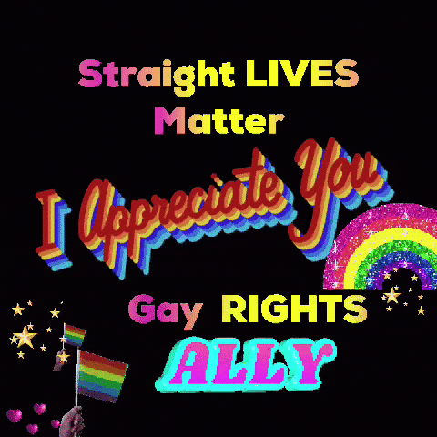 Straight Lives Matter and Gay Rights Ally Poster