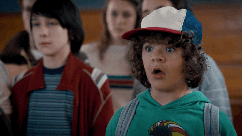 Stranger Things Dustin And Lucas GIF