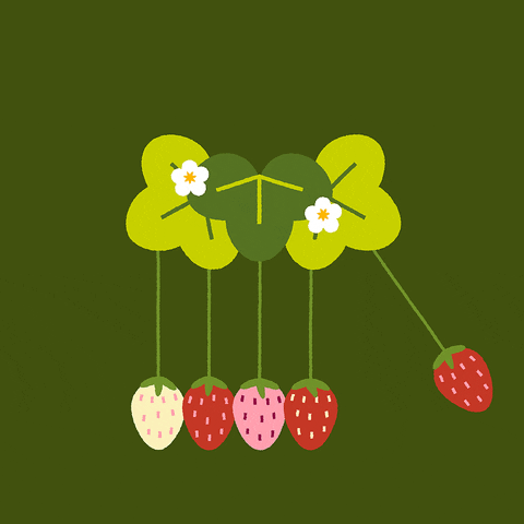 Strawberries As Newton Pendulum GIF