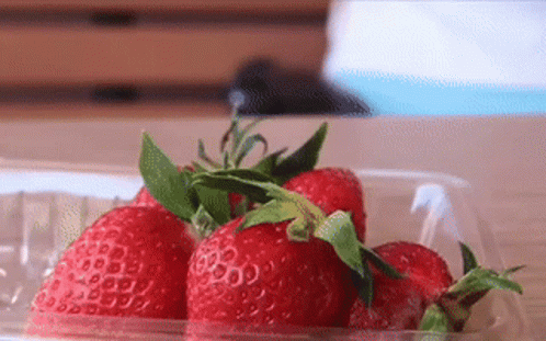 Strawberry Eating Happy Vivian Kong GIF