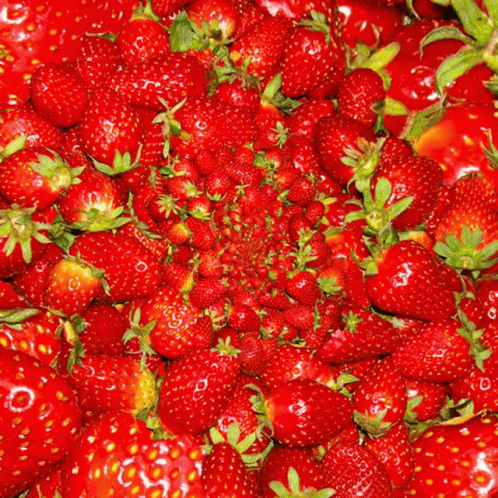 Strawberry Fresh Fruits Loop GIF