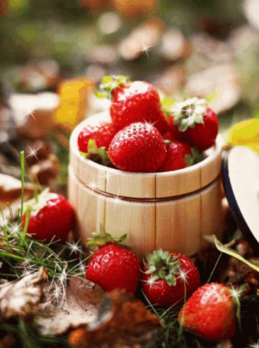 Strawberry Fruit In Basket GIF