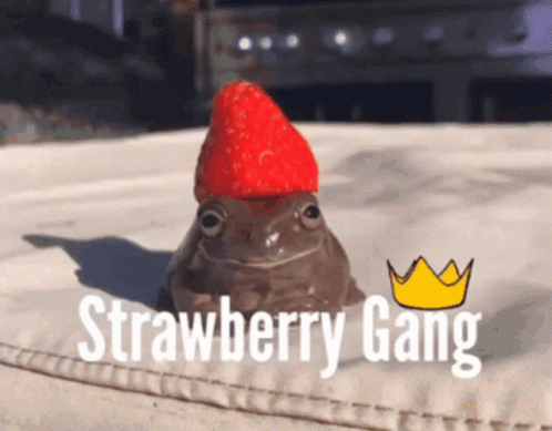 Strawberry Gang Meme Funny Frog GIF
