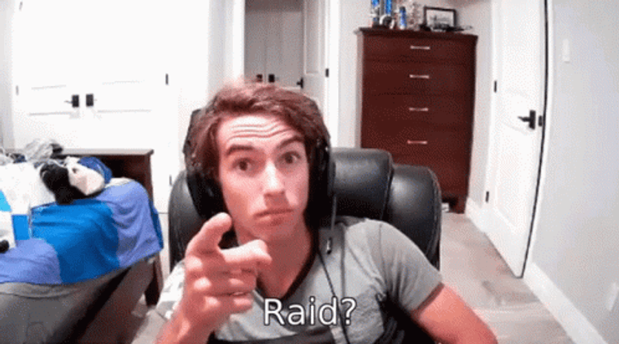Streamer Questionable Raid GIF