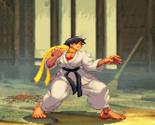 Street Fighter Makoto Battle Ready GIF