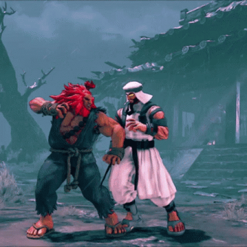 Street Fighter Akuma Fighting GIF