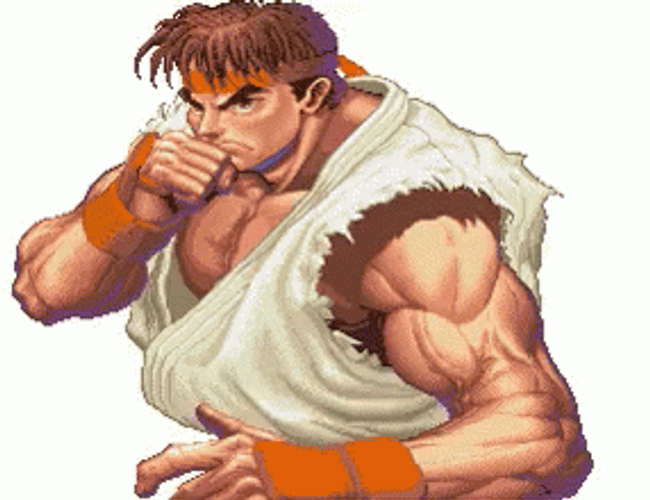 Street Fighter Ryu Battle Ready GIF