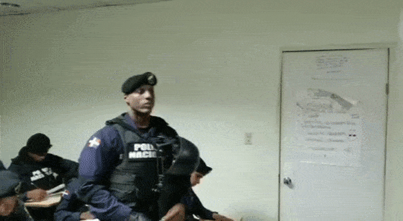 Stress Test Hilarious Police Reaction GIF