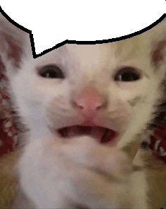 Stressful Baby Cat Screaming GIF