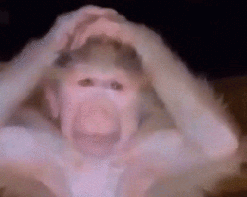 Stressing Out Monkey GIF