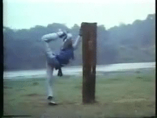 Stretching Kung Fu Martial Arts GIF