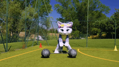 Stretching Milady Buffycats 44 Cats GIF