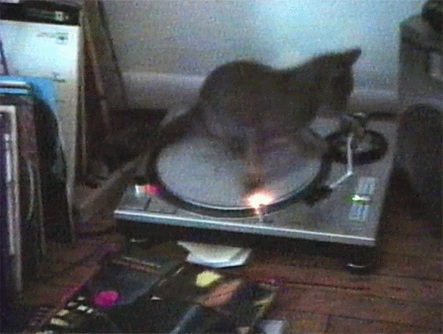 Stripe Spinning Cat On Music Disc Dizzy GIF