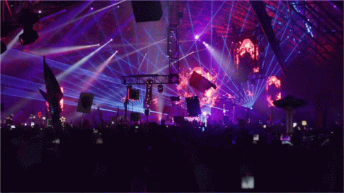 Strobe Light Dance Concert Crowd GIF