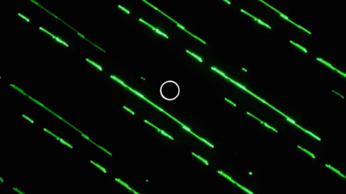 Strobe Light Neon Green Lines GIF