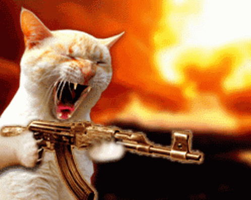 Strong Cat Shooter GIF