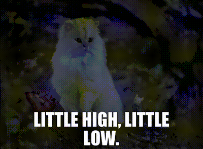 Stuart Little Little High Little Low GIF