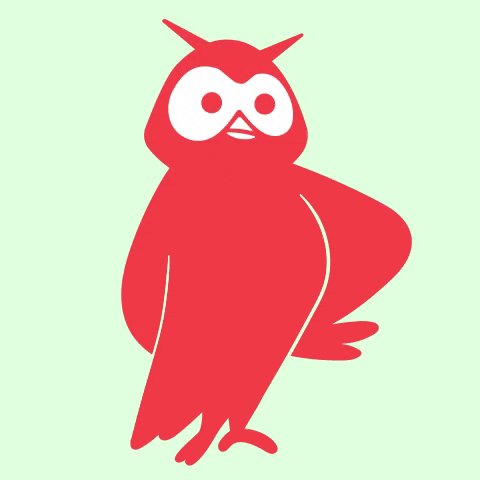 Stubborn Angry Owl GIF