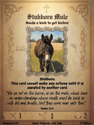 Stubborn Mule Needs A Kick To Get Kickin GIF