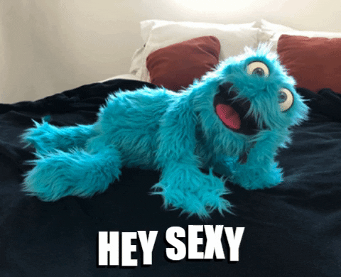 Stud Fluffy Friend Hey Sexy GIF
