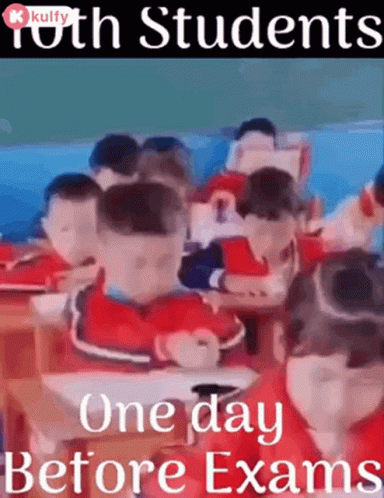 Students Preparing For Test GIF