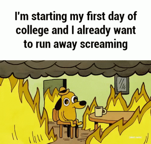 Students Sitting In Classroom With Teacher GIF
