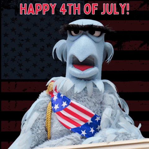 Stuffed Animal American Flag Happy 4th of July