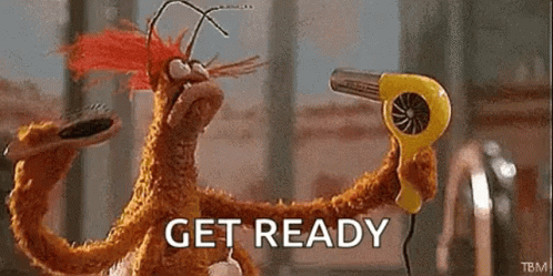 Stuffed Animal Blow Drying Hair Saying Get Ready