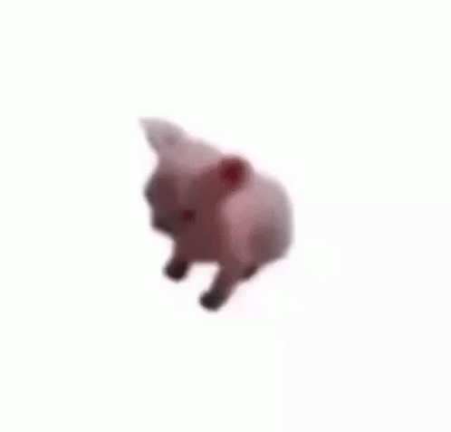 Stuffed Animal Dancing on Its Back
