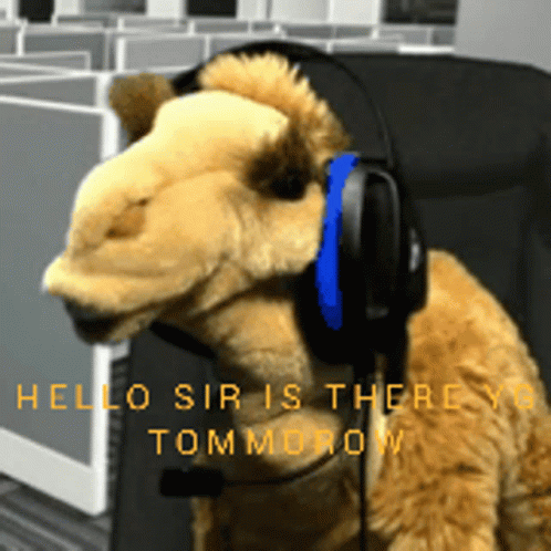 Stuffed Animal Headphones Hello Sir Is There Tomorrow GIF