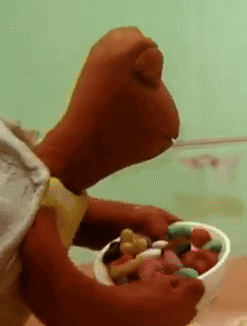 Stuffed Animal Holding Bowl Of Food GIF
