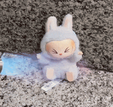 Stuffed Animal in Bunny Outfit