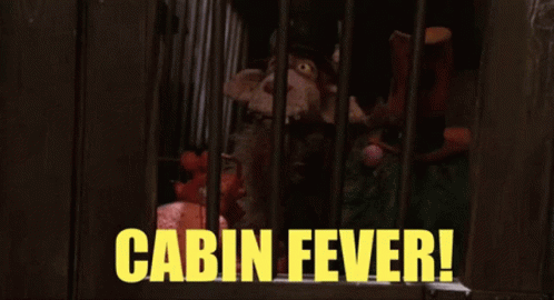 Stuffed Animal In Cage With Cabin Fever GIF