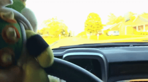 Stuffed Animal in Driver Seat of Vehicle