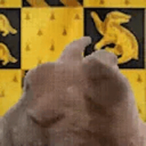 Stuffed Animal in Front of Yellow and Black Checkered