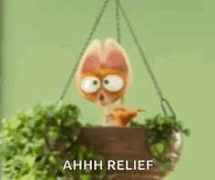 Stuffed Animal in Hanging Plant