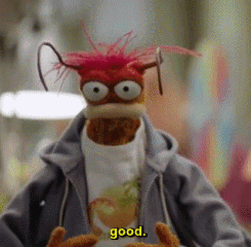 Stuffed Animal In Hoodie Saying Good GIF