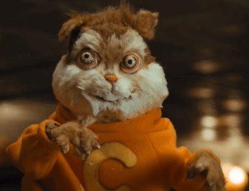Stuffed Animal in Orange Sweater With Letter C
